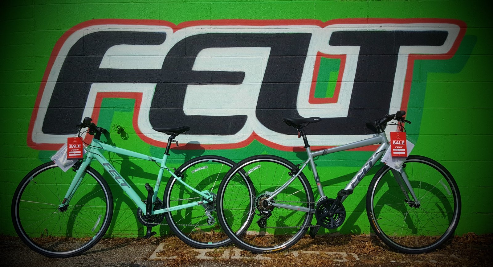 felt verza speed 50 price