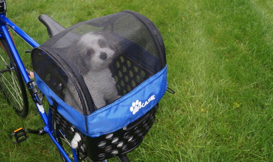 Bikase Dairyman Pet Cover Basket liner - Image 4